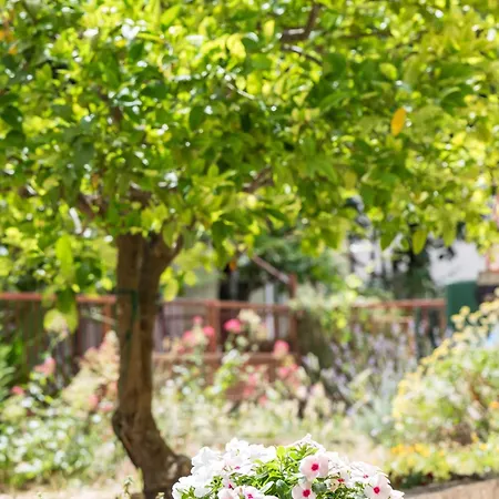 Lulu Apartament Split